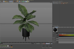 Plants collection 1042