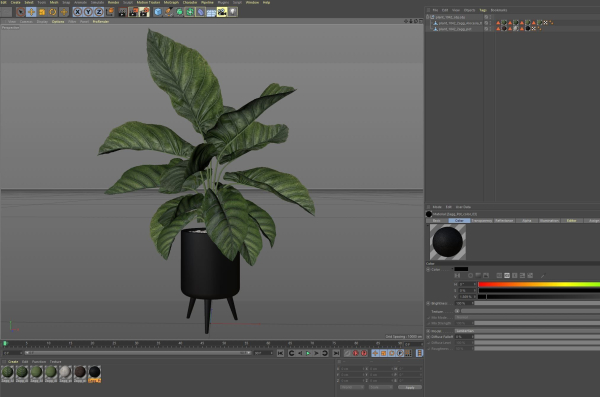 Plants collection 1042