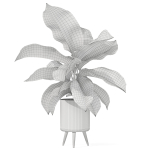 Plants collection 1042