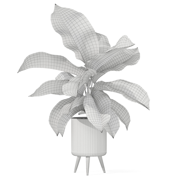 Plants collection 1042