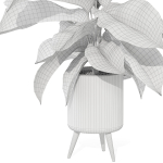 Plants collection 1042