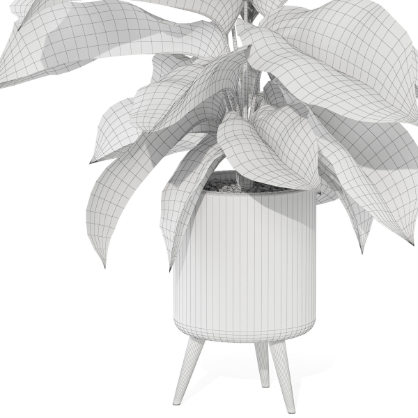 Plants collection 1042