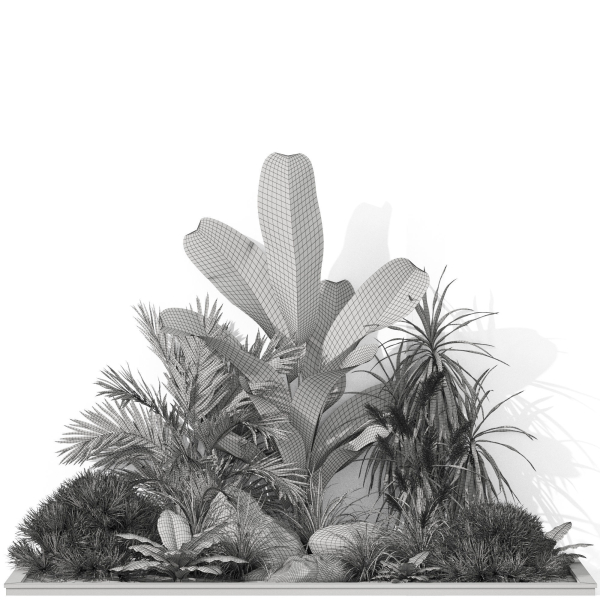 Plants collection 1044