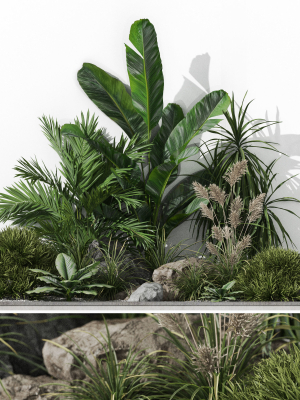 Plants collection 1044