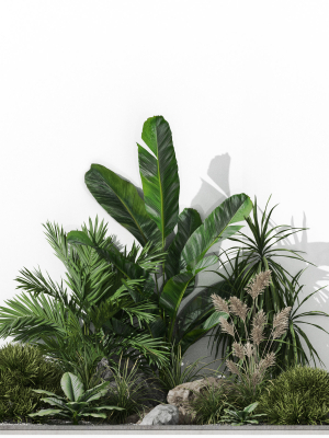 plants-collection-1044-3d-model-79fa8976b4