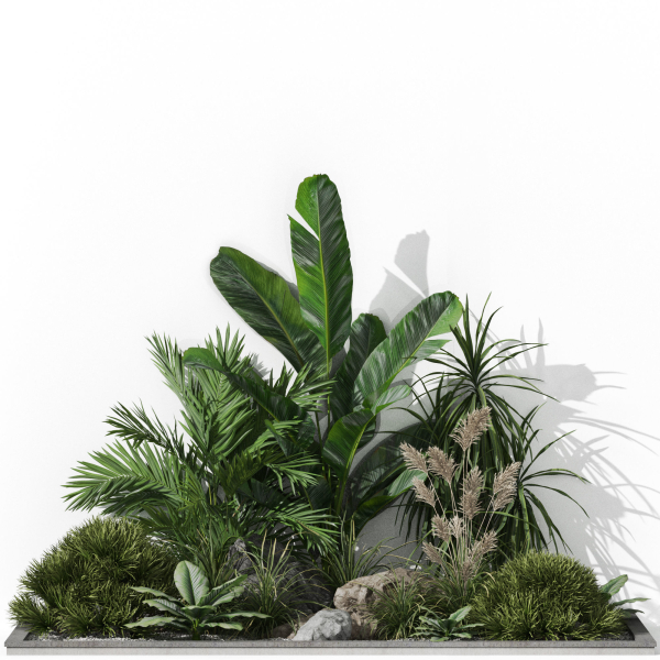Plants collection 1044