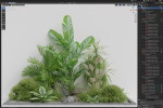 Plants collection 1044