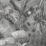 Plants collection 1044