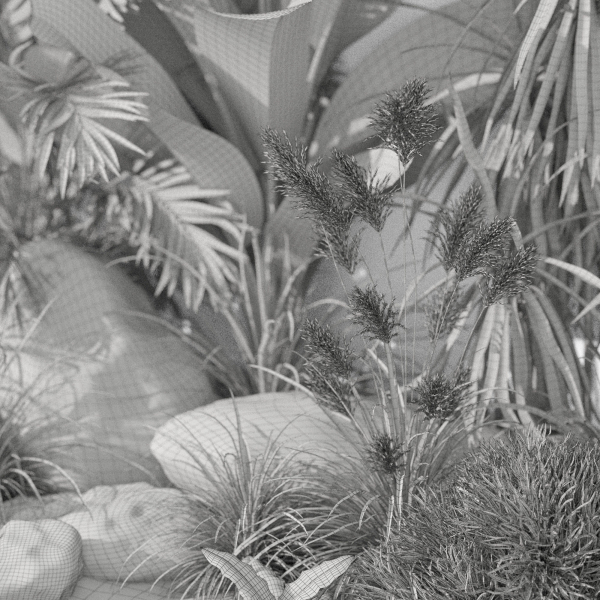 Plants collection 1044