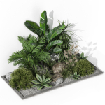 Plants collection 1044