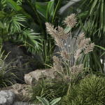 Plants collection 1044
