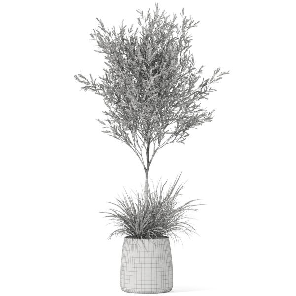 Plants collection 1045