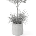 Plants collection 1045