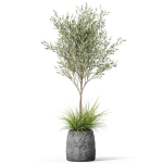 Plants collection 1045