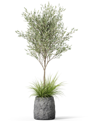 plants-collection-1045-3d-model-239962a670