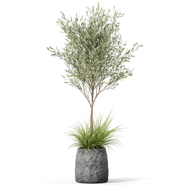 Plants collection 1045