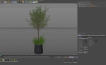 Plants collection 1045