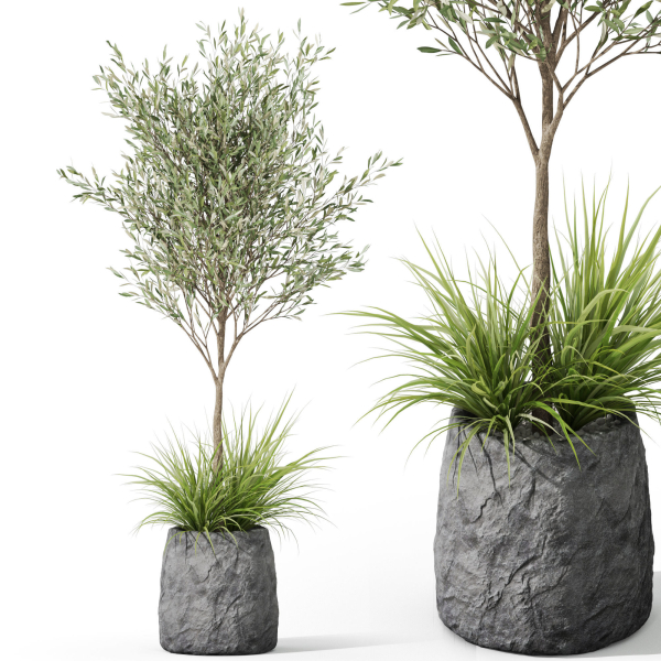 Plants collection 1045