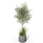Plants collection 1045