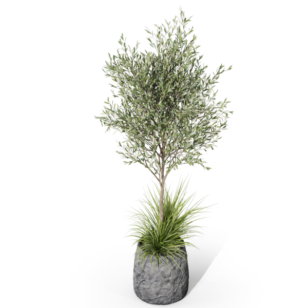 Plants collection 1045