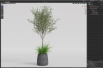 Plants collection 1045