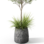 Plants collection 1045