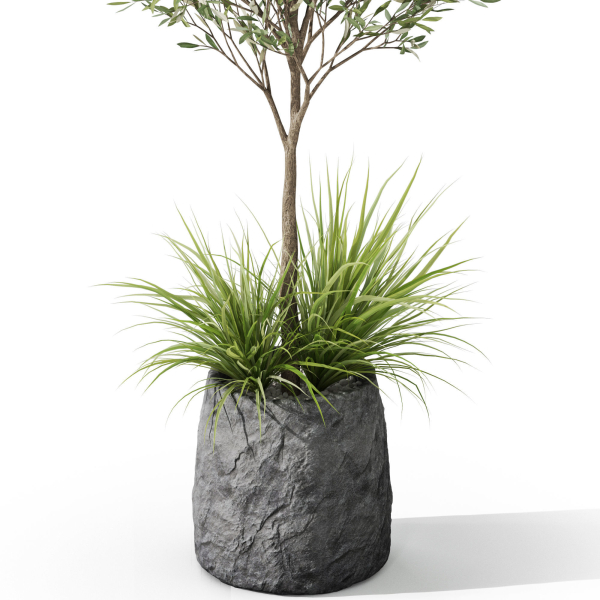 Plants collection 1045