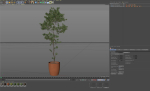 Plants collection 1048