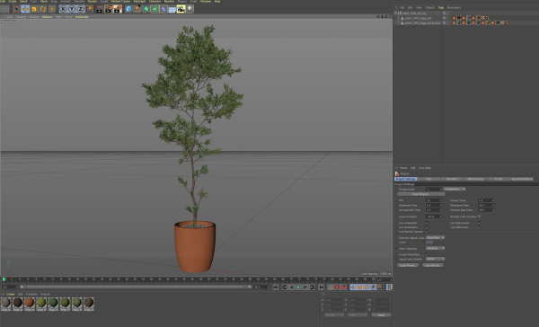 Plants collection 1048