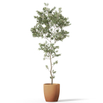 Plants collection 1048