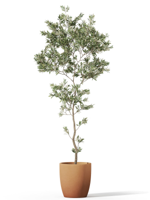 plants-collection-1048-3d-model-1228fa1d1f