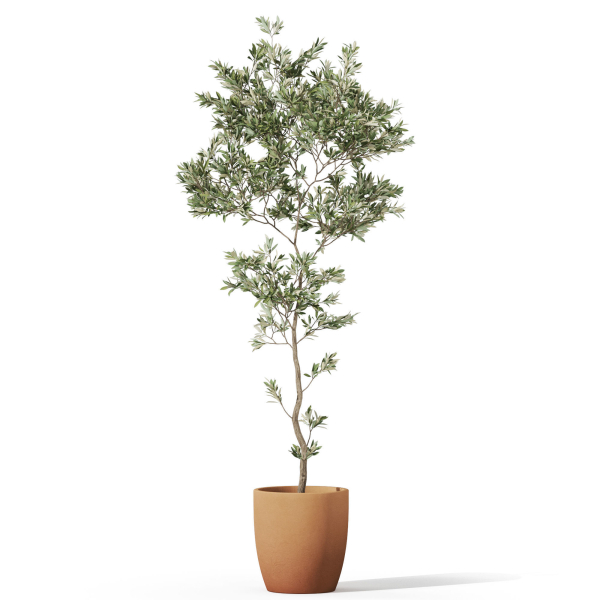 Plants collection 1048