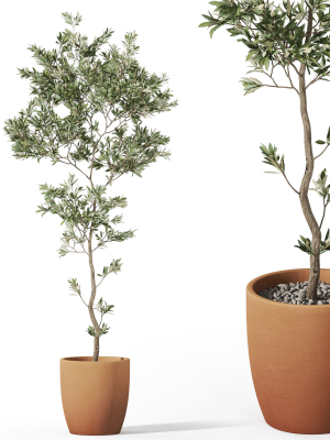 Plants collection 1048