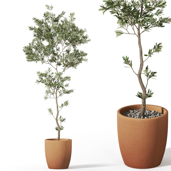 Plants collection 1048