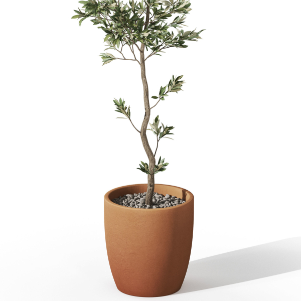 Plants collection 1048