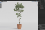 Plants collection 1048