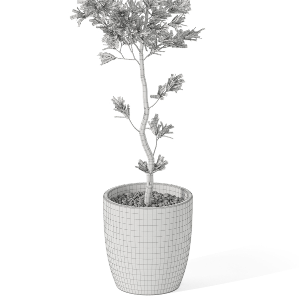 Plants collection 1048