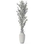 Plants collection 1051