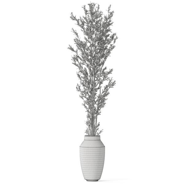 Plants collection 1051