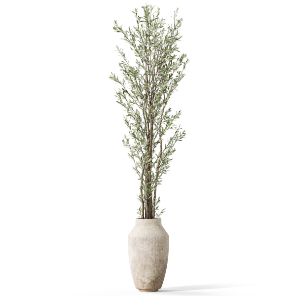Plants collection 1051