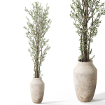 Plants collection 1051