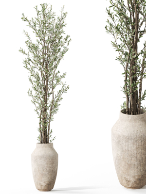 Plants collection 1051