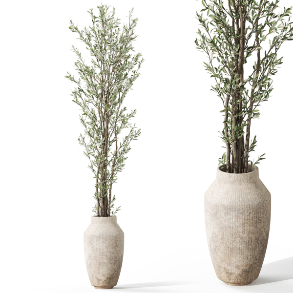 Plants collection 1051