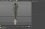 Plants collection 1051