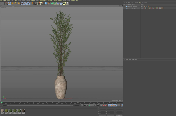 Plants collection 1051