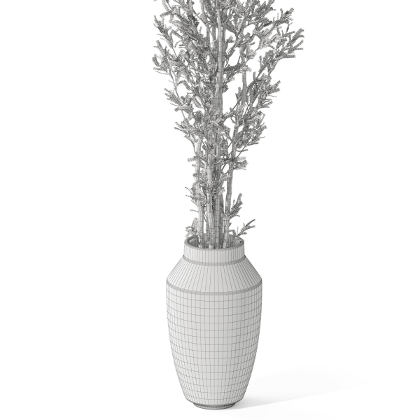 Plants collection 1051
