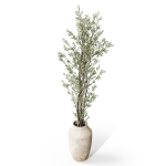 Plants collection 1051