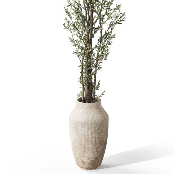 Plants collection 1051