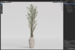 Plants collection 1051