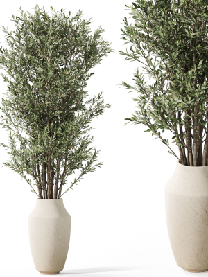 Plants collection 1052